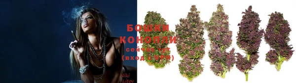 твердый Корсаков