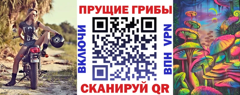 Купить закладки  Зеленокумск  Псилоцибиновые грибы GOLDEN TEACHER 